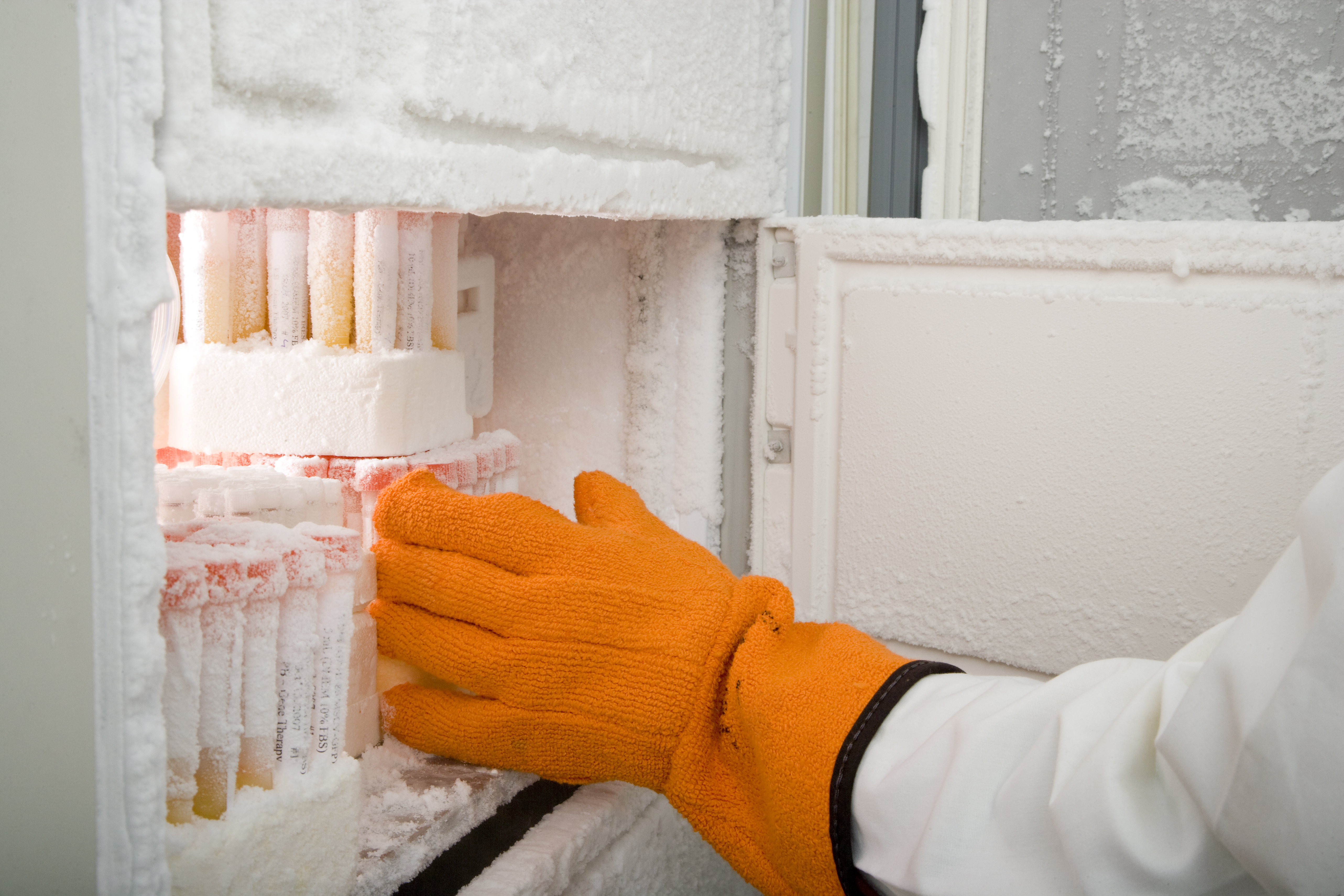 fridge temperature monitoring, freezer temperature monitoring,