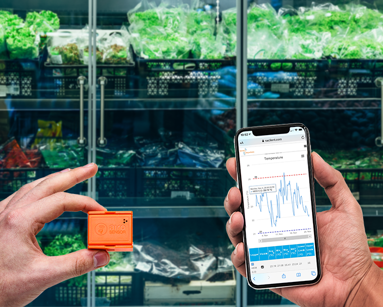 Food temperature monitoring system