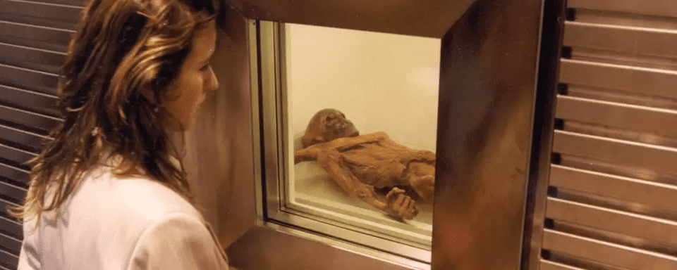 Otzi the iceman