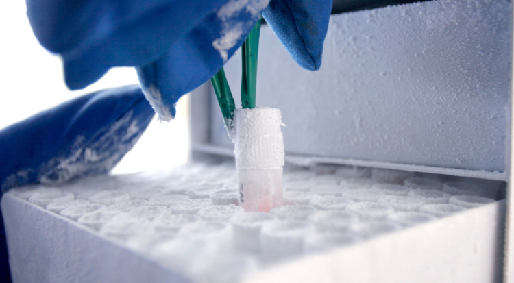 ULT storage chambers for pharmaceuticals