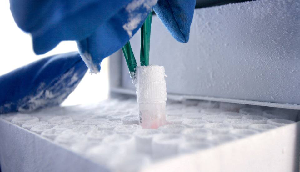 ULT storage chambers for pharmaceuticals