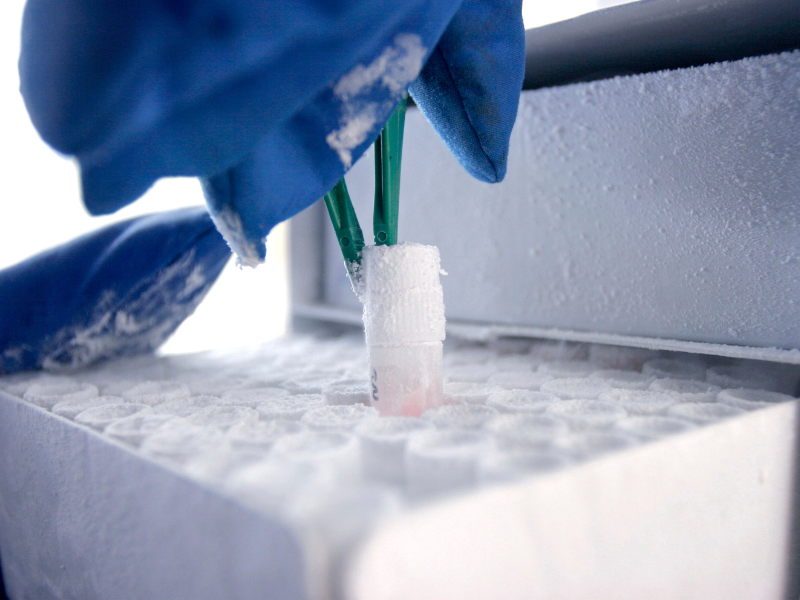 ULT storage chambers for pharmaceuticals