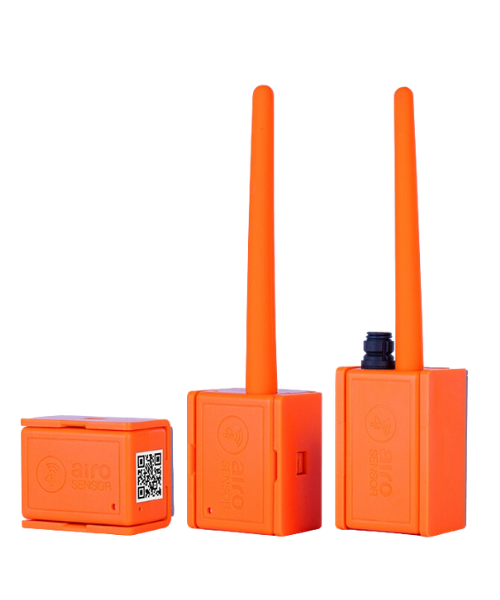 veterinary temperature monitoring