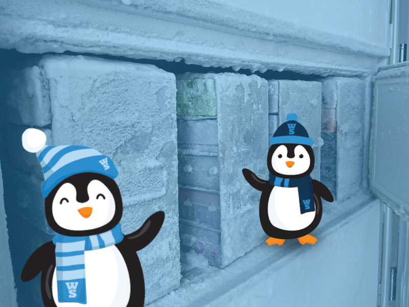 Chilly and Billy guide you through our ultra cold storage solutions