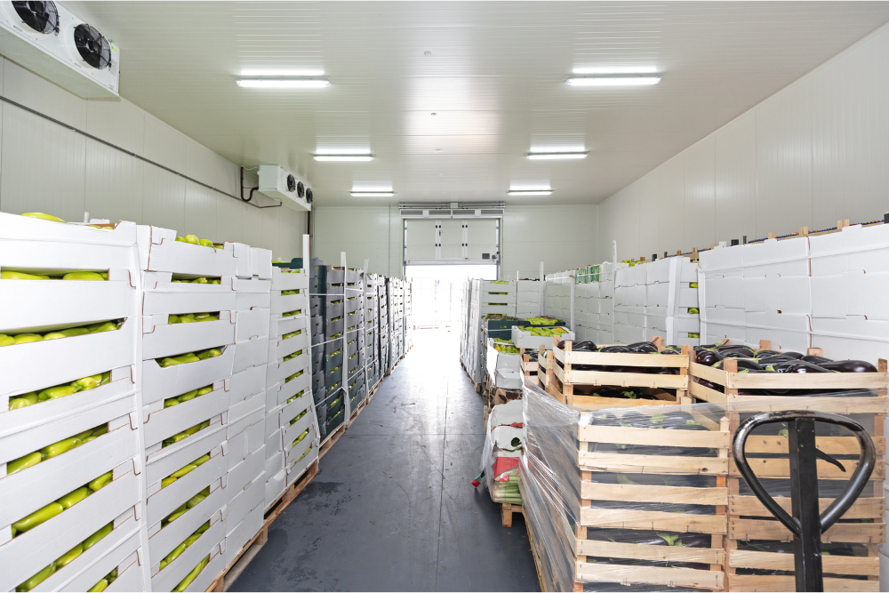 Food temperature monitoring storage facility